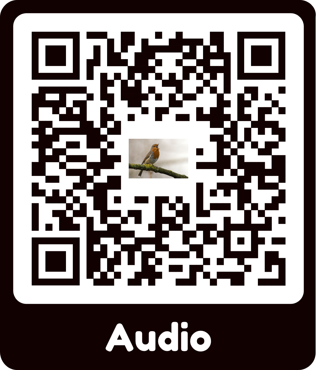 Audio QR-code example