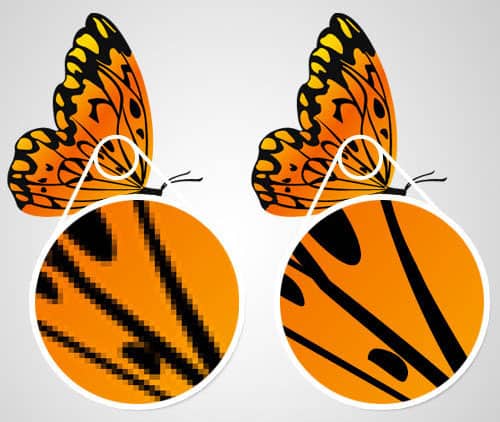 Images of a butterfly in vector and pixel format, where the vector format is of much better quality